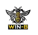 WIN-B Logo